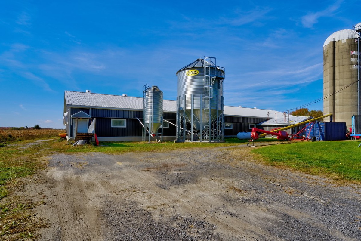 Ferme à vendre 120 Rg StAndré SaintBernarddeLacolle
