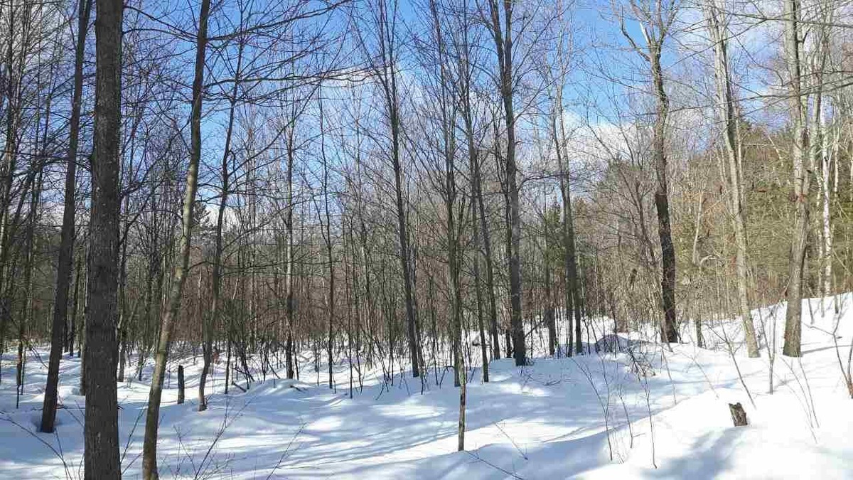 Terrain vacant à vendre Ch. de ValdesLacs SainteAgathedesMonts