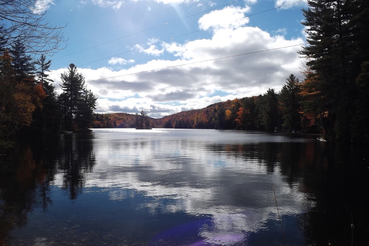 Terrain vacant à vendre Ch. du BordduLacLéon SainteMarcellinede