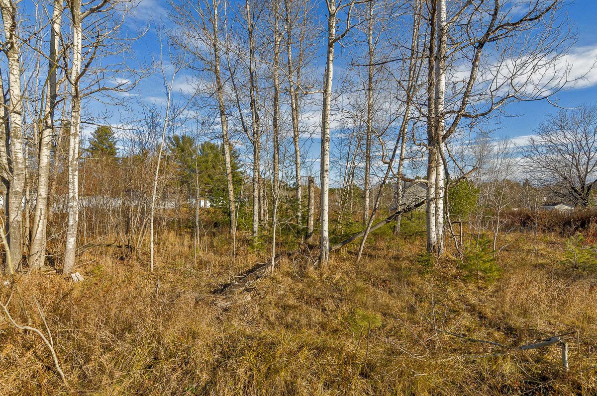 Terrain vacant à vendre Rue des Cèdres SainteSophie