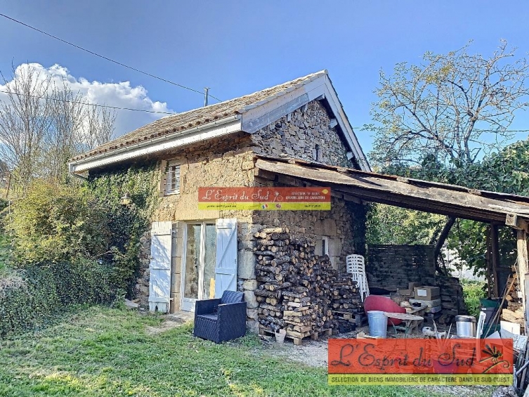 Deux jolies maisons en pierre er piscine - L’Esprit du Sud, agence  immobilière
