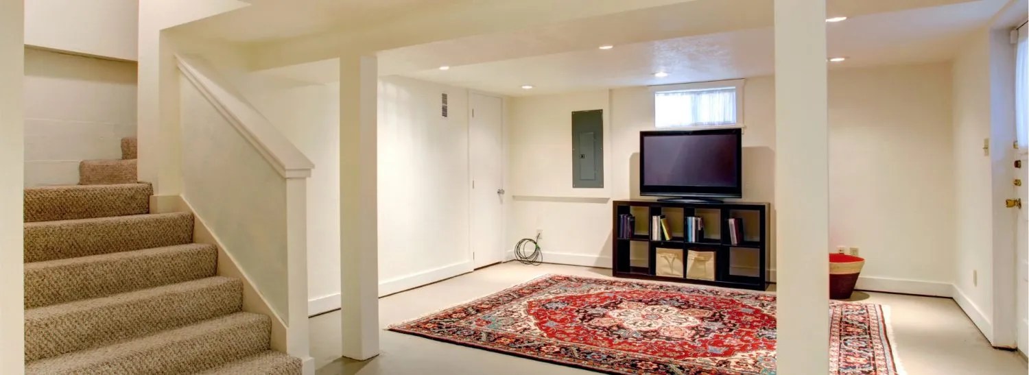 How To Live With A Basement or Subgrade Living Space Immunolytics