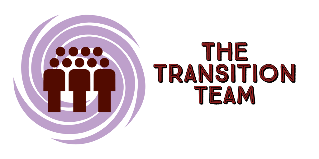 The Transition Team IMN