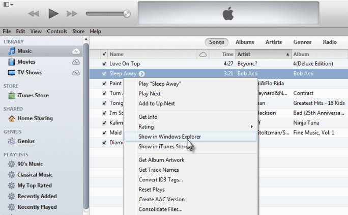 iCloud Find My Apple
