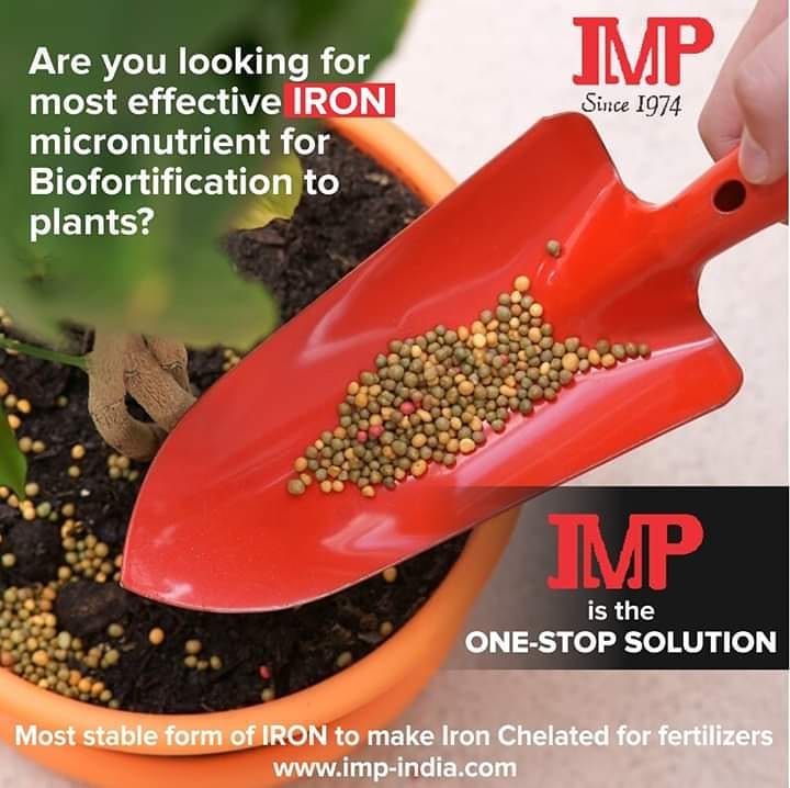 Nutritional applications of Iron Powder Iron Powder uses IMPIndia