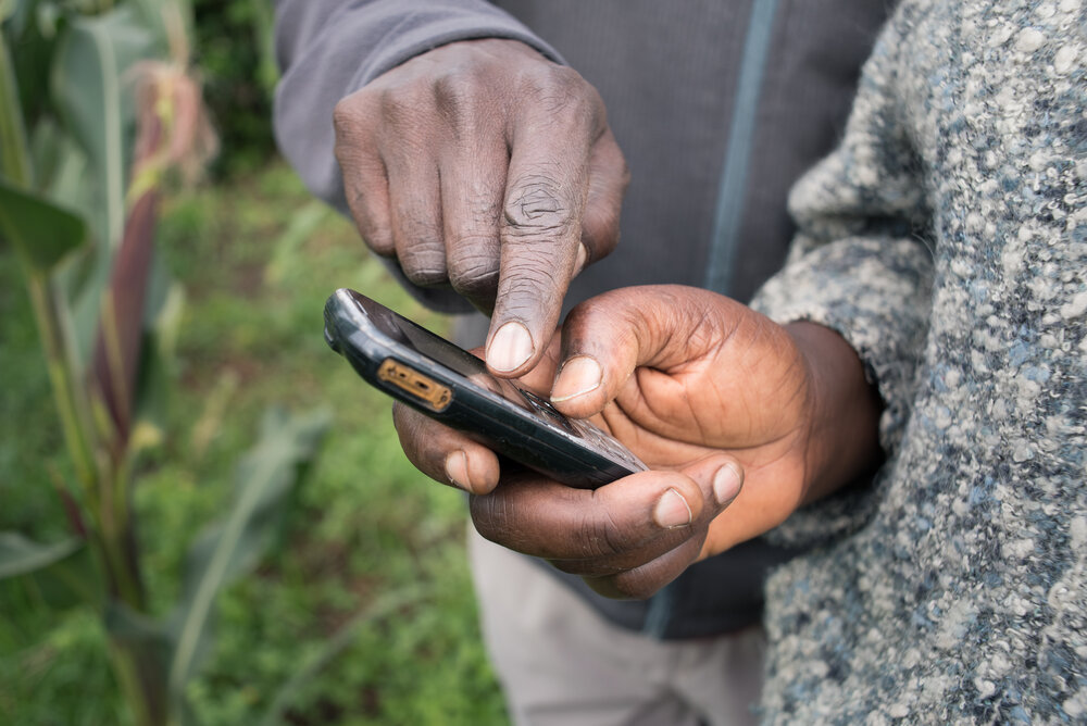 Apollo Agriculture is out to show how financing smallholder farmers can
