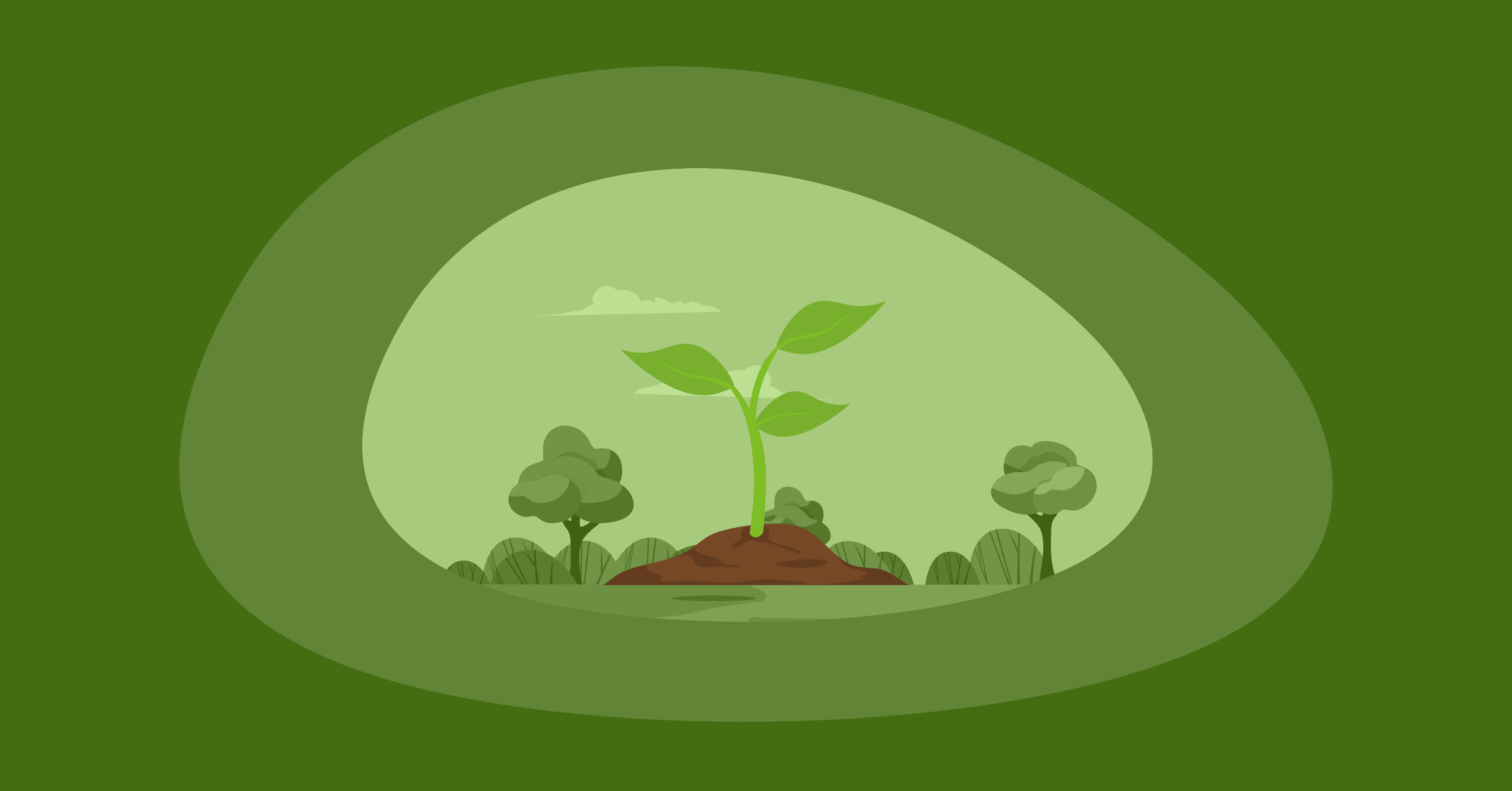 11 Best Charities for Planting Trees [current_year] List