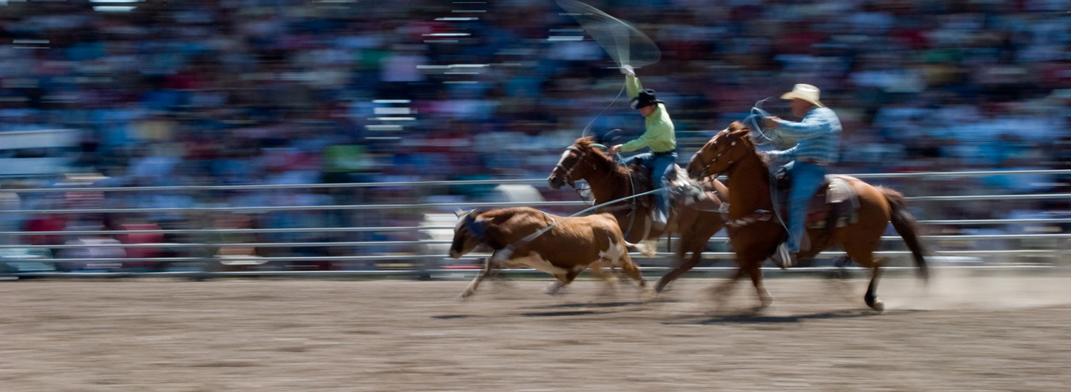 Rodeo Insurance Impact Programs LLC