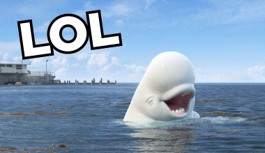 LOL, MDR, PTDR… - Imparfaites