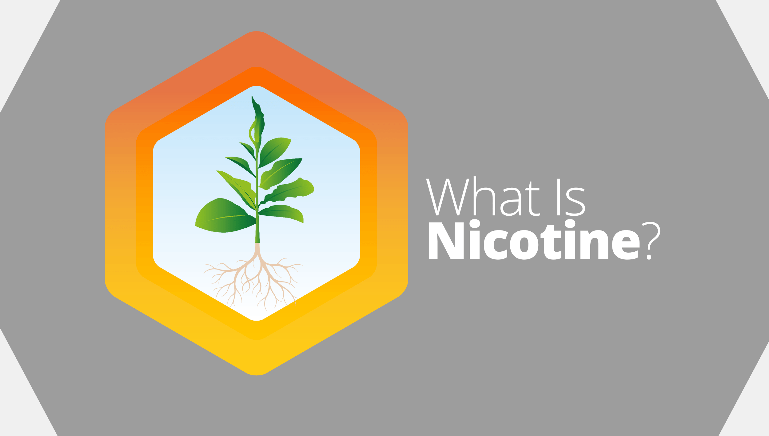 What is nicotine? Imperial Brands Science