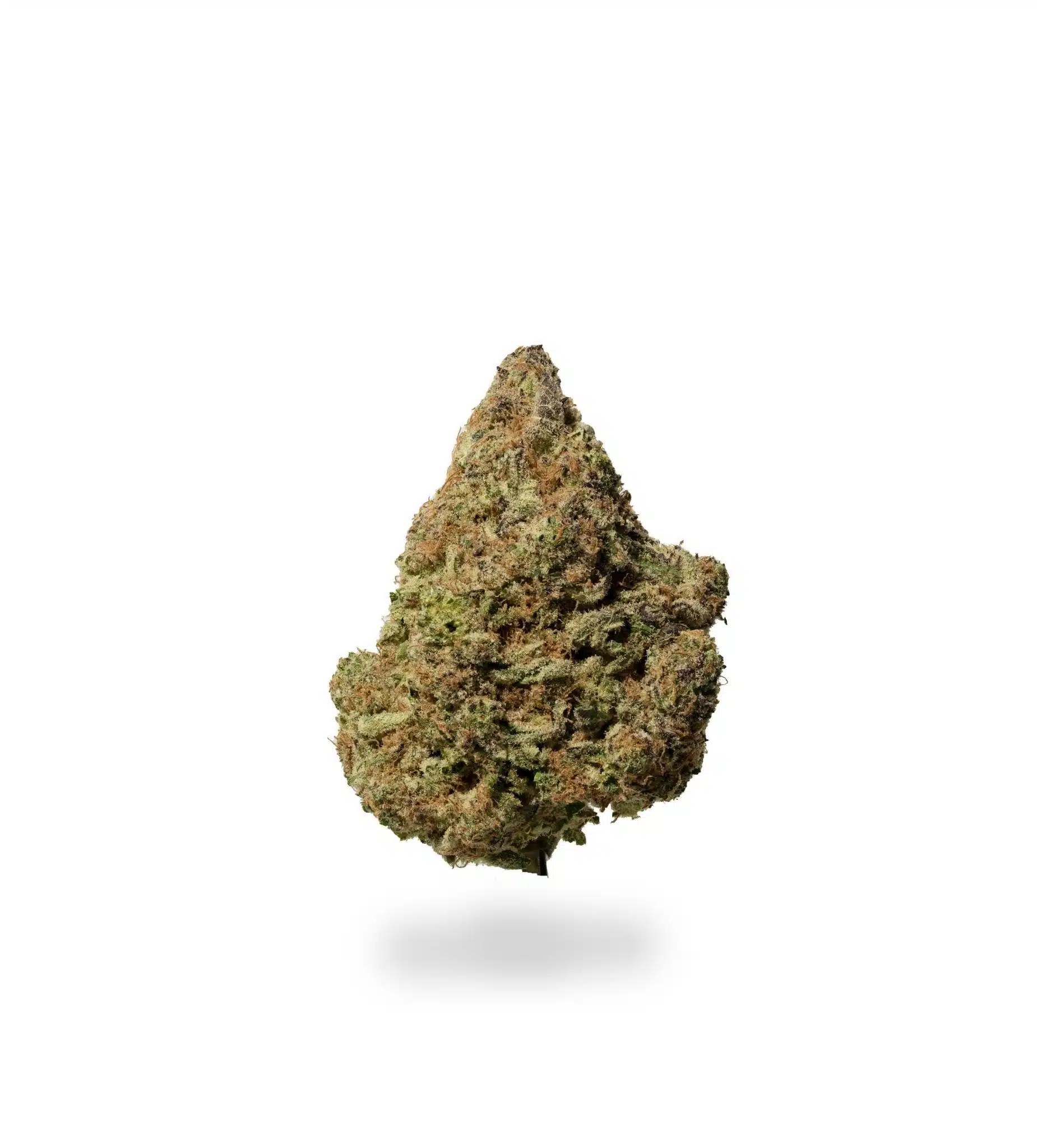 Forbidden Jelly (AA+) Imperial Bud Free Weed Delivery in KW, London & GTA Home of the 99