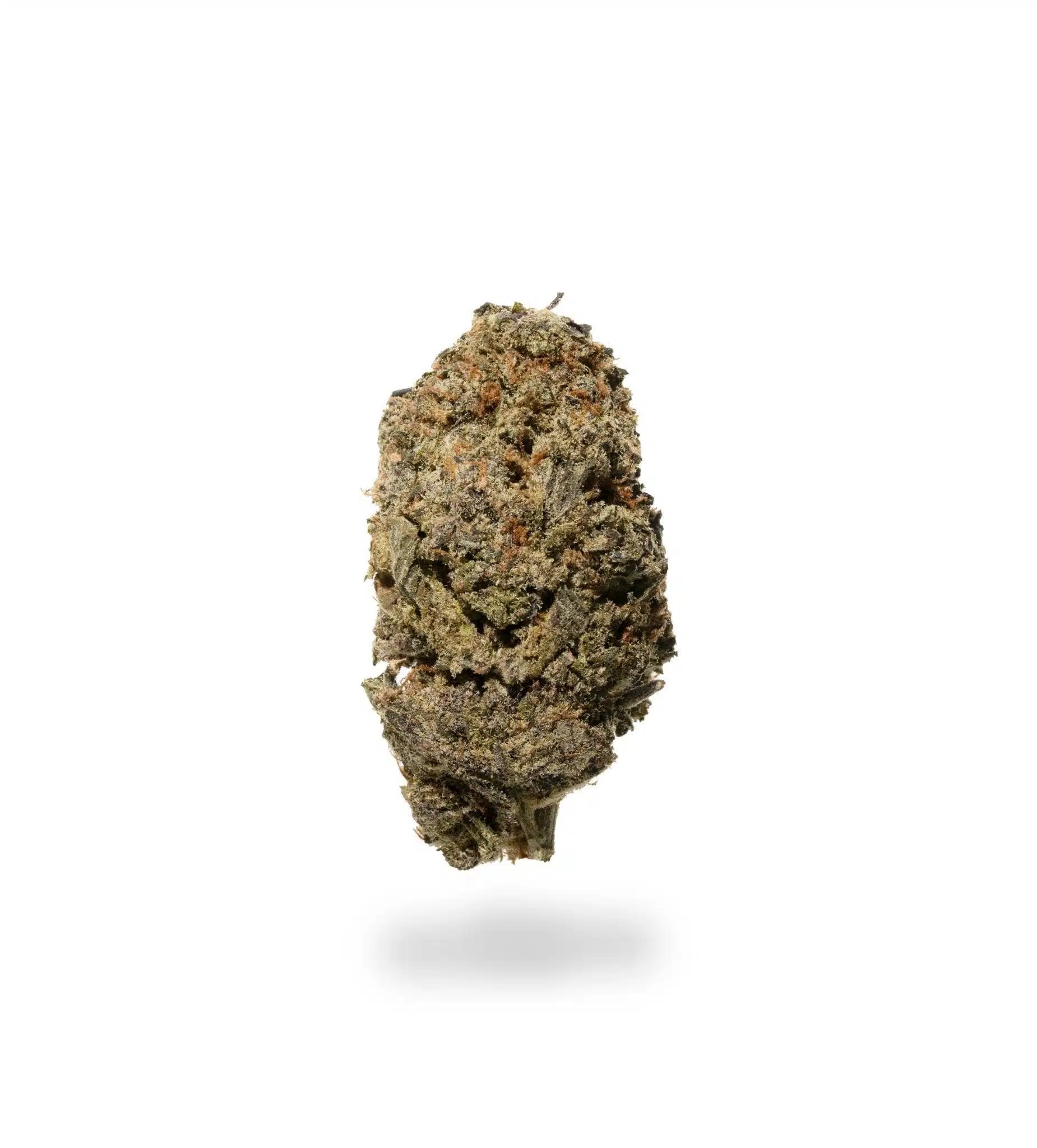 White Truffle Strain (AAAA) Imperial Bud Weed Delivery