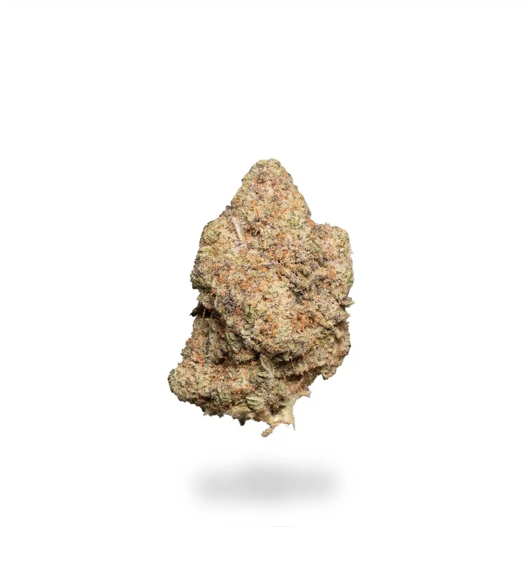 Modified Banana *GAS* Strain (AAAAA) Imperial Bud