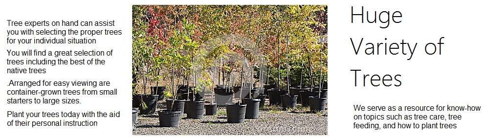 Imperial Gardens Nursery Woodburn, Oegon Nursery of Choice