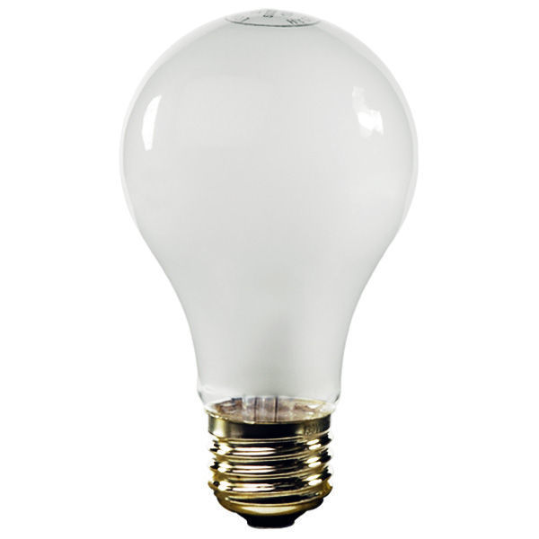 60 Watt A19 Rough Service Bulb Imperial Soap