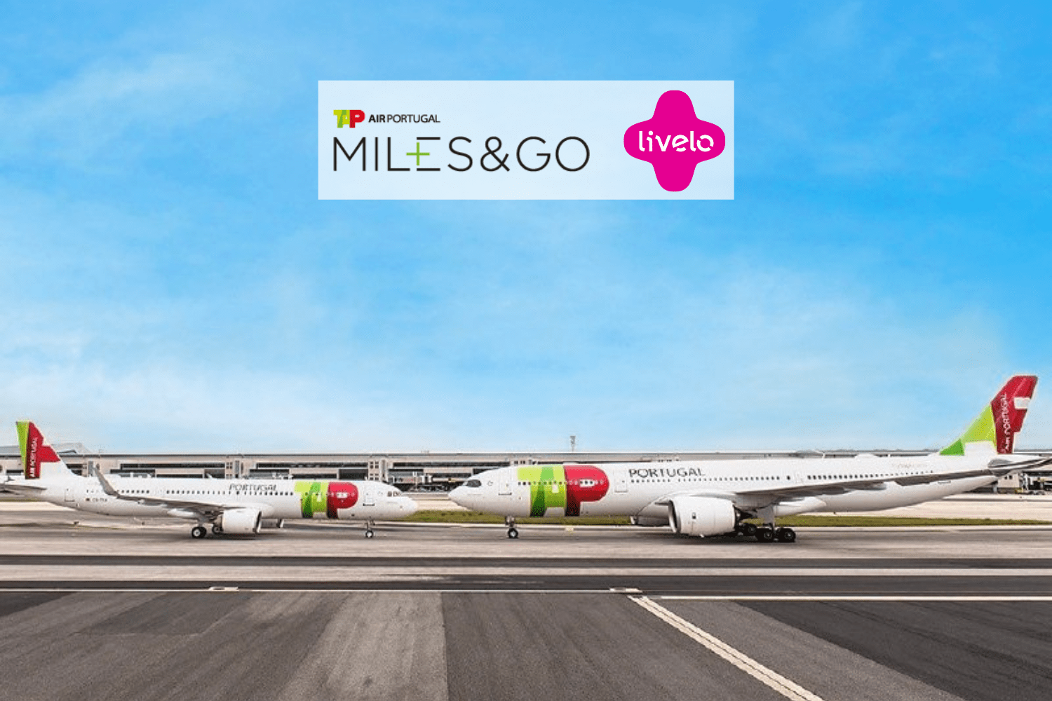 BUMERANGUE Livelo e TAP Miles&GO com até 80 Imperio das Milhas