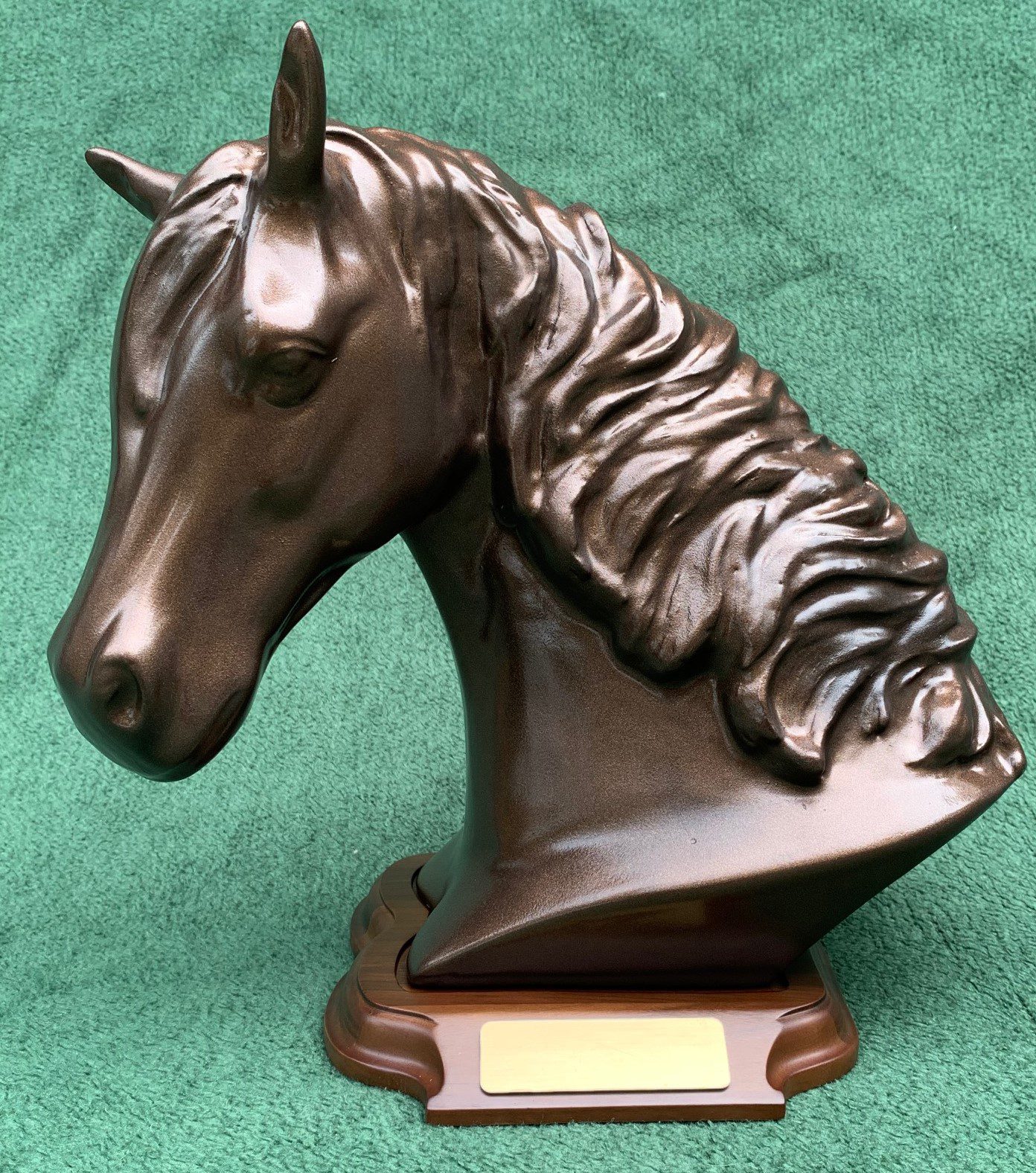 equine keepsake In Memoriam Pet Services