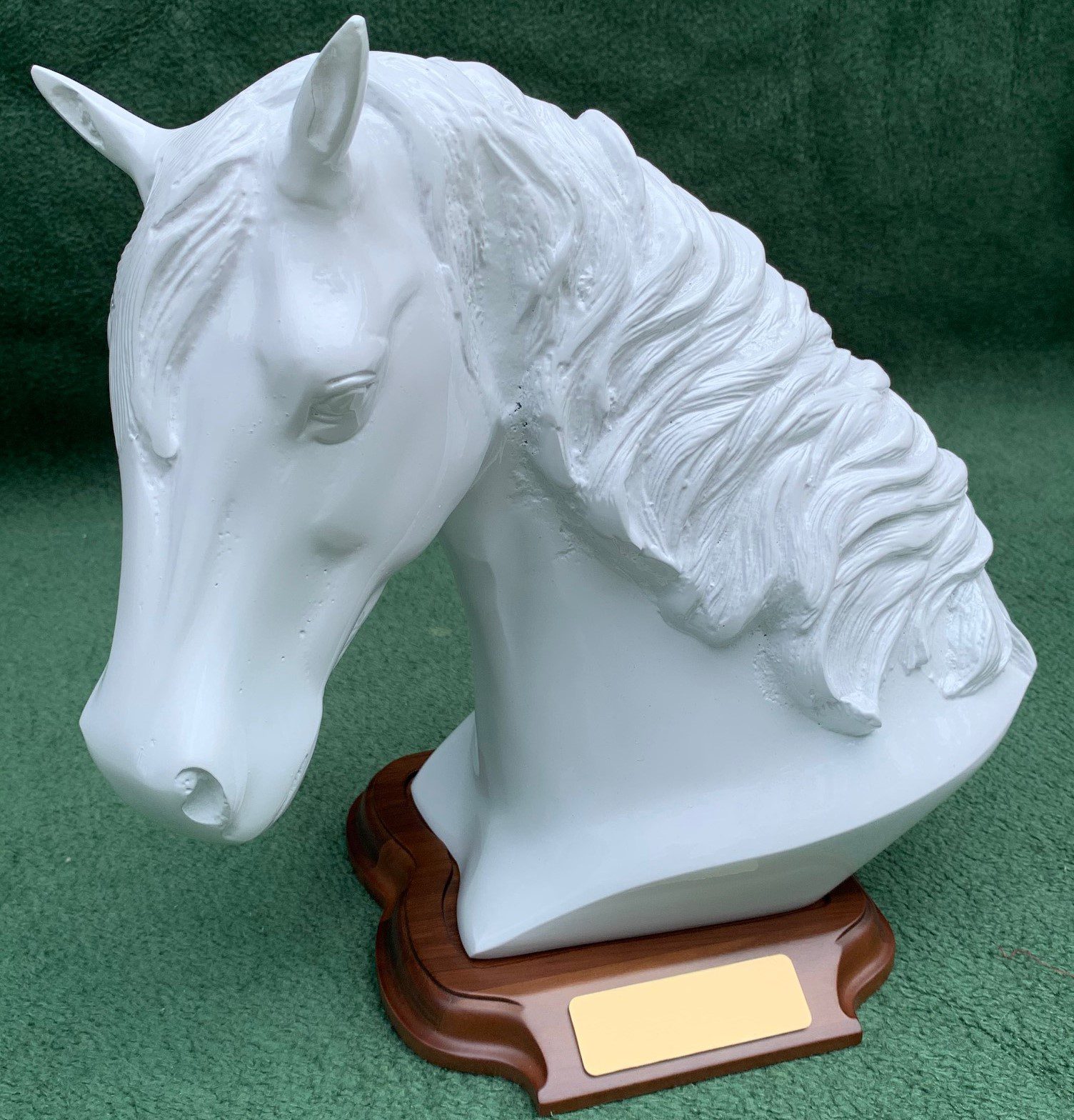 equine keepsake In Memoriam Pet Services