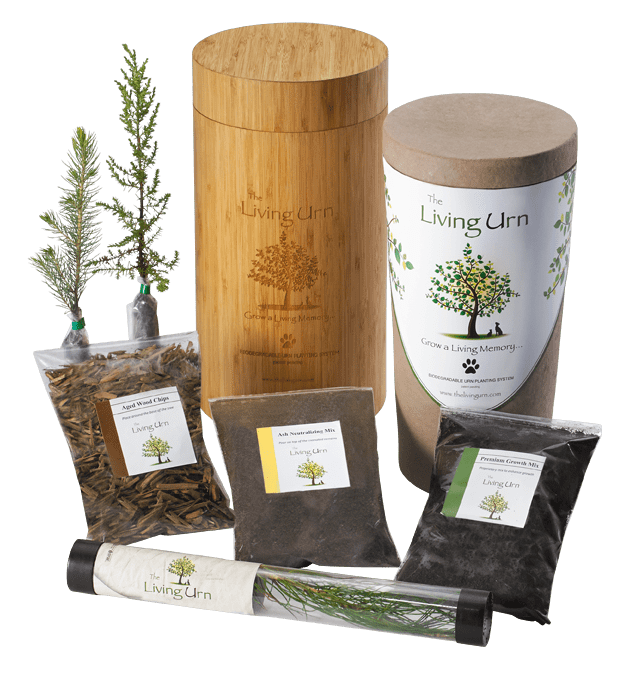 Biodegradable The Living Urn In Memoriam Pet Services