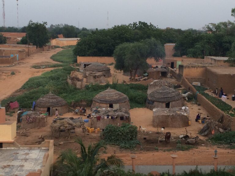 Community Programming IMPL. PROJECT