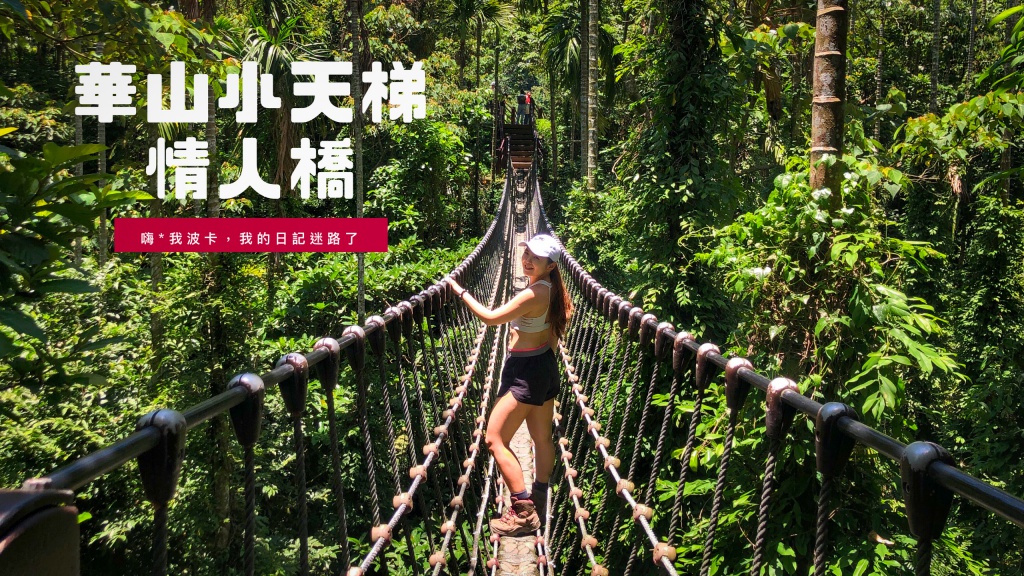 華山小天梯.情人橋，雲林古坑華山休閒農業區免費景點，超刺激叢林繩索吊橋錯覺一秒來到清邁！