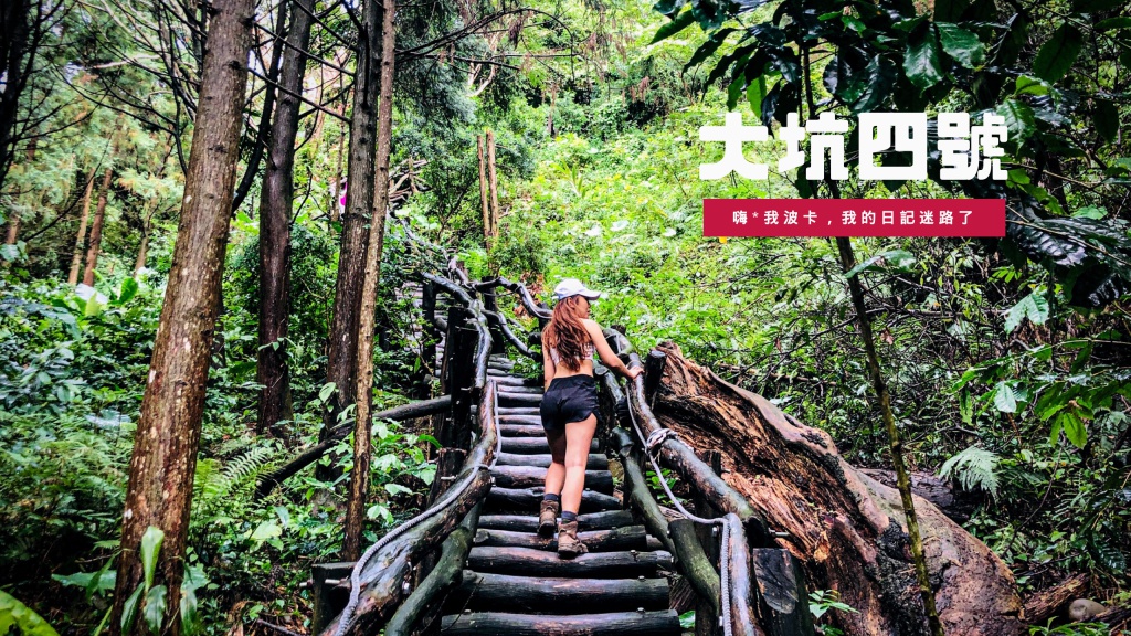 大坑四號步道、頭嵙山，台中景點新手登山路線推薦，含GPX路線檔下載及交通攻略，登上相思圓木萬里長城遠眺台中市