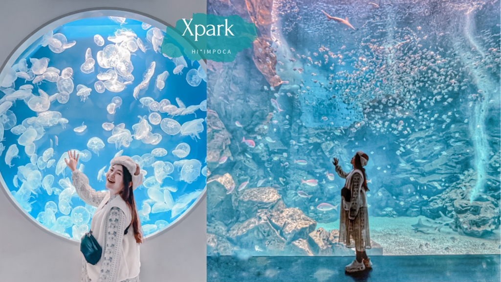Xpark水族館攻略！表演/餐廳/購票資訊懶人包｜桃園景點推薦