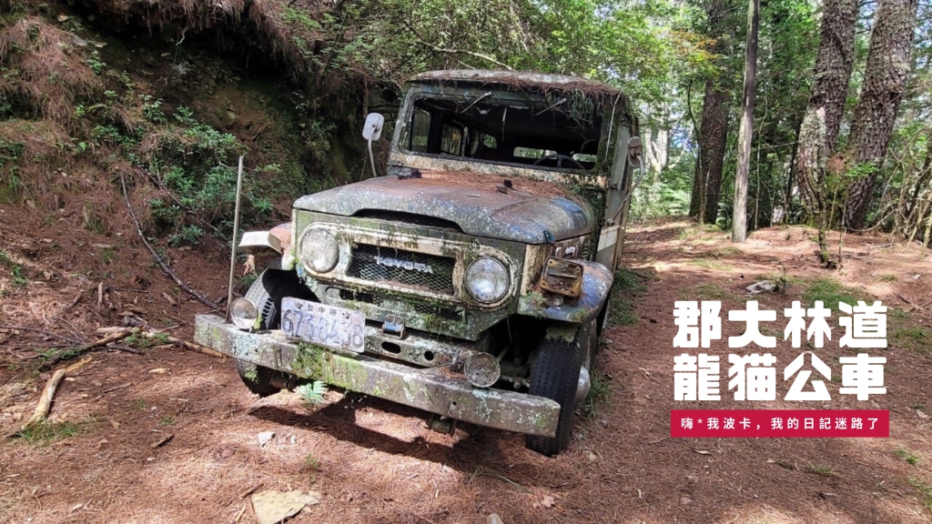 郡大林道龍貓公車攻略—含GPX路線下載，沉睡30年廢棄公車