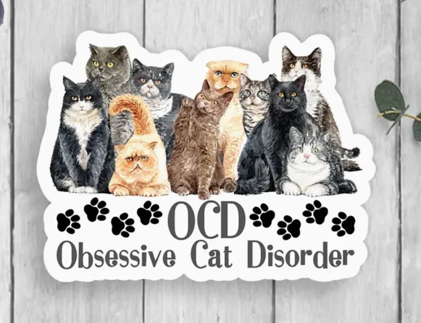 OCD Cats Sticker Impress Boutique &amp; Printing