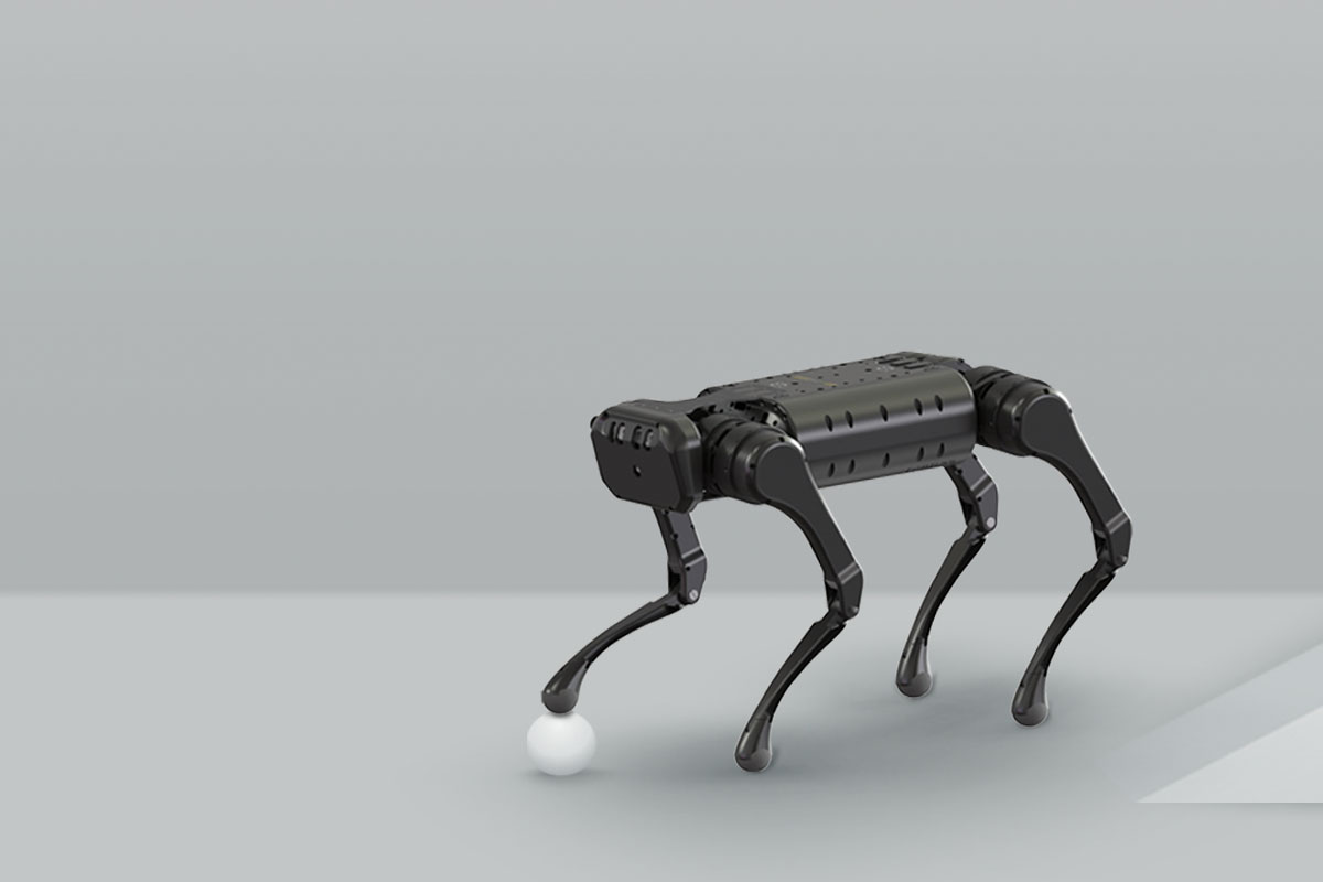 Unitree A1 Robot Improb