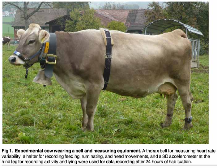 Improbable Research » Blog Archive