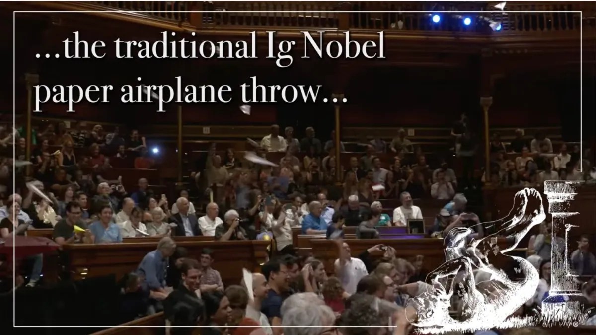 Throw paper airplanes in the Ig Nobel Prize ceremony