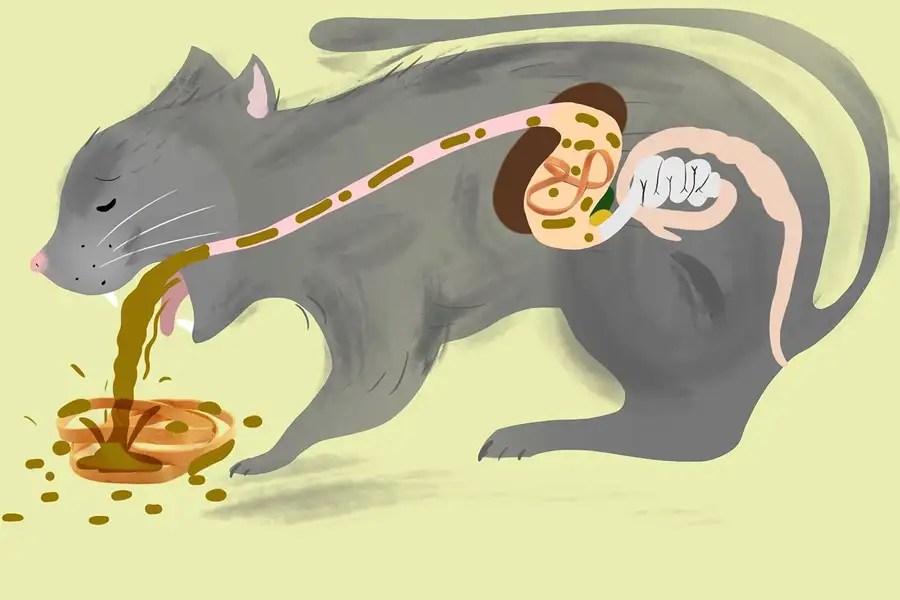 Down and up in a cat, dried plasma, animalistic us, snot useful