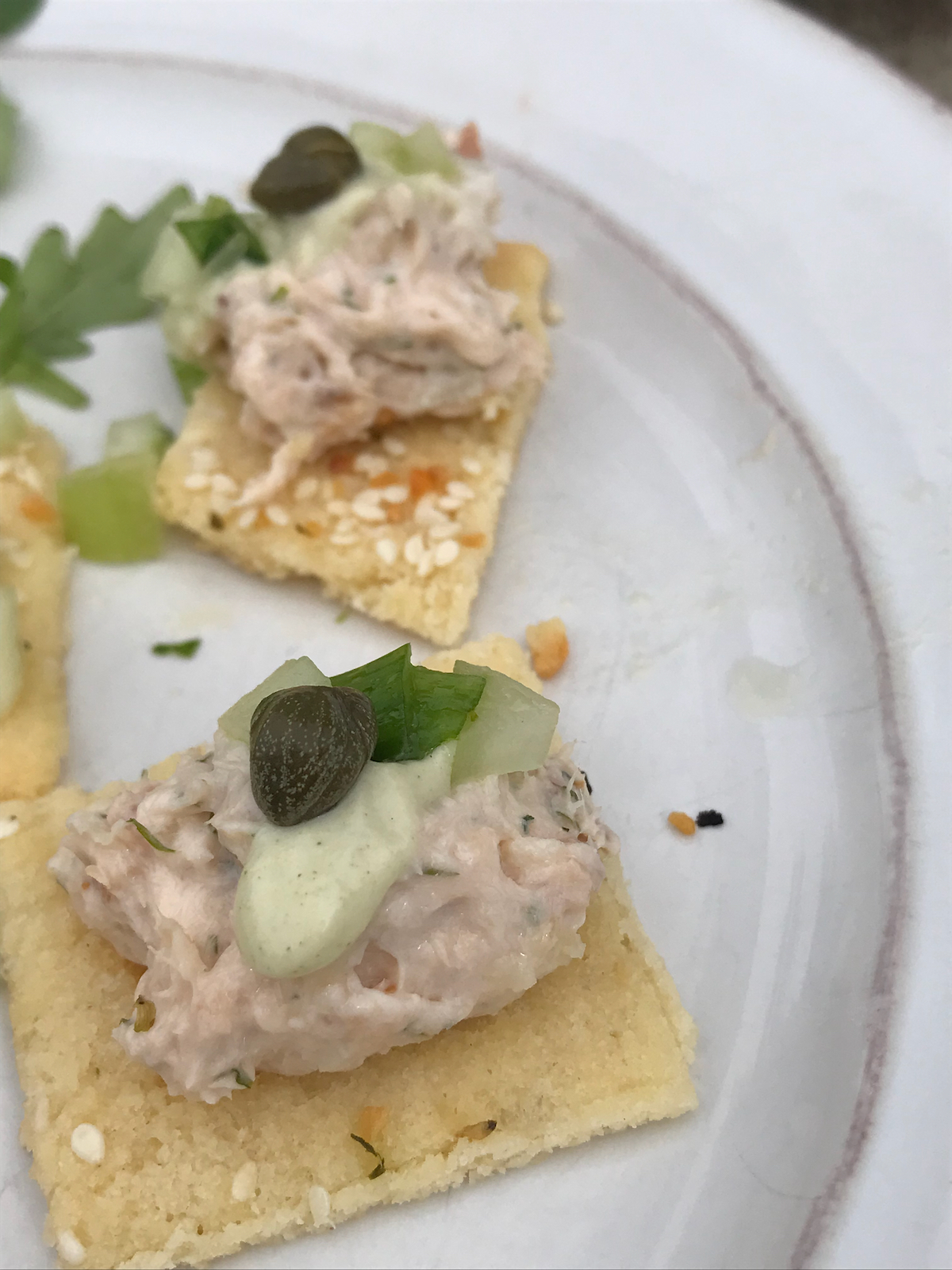 Smoked Salmon Spread with Wasabi Cream Sauce and Capers on LowCarb