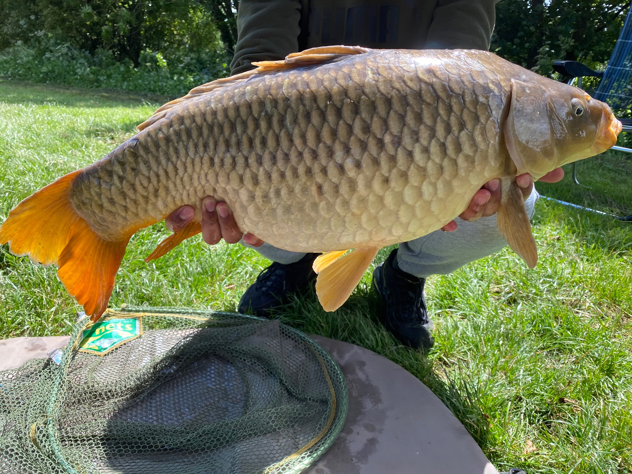 Commercial carp fishing guide Improve Angling