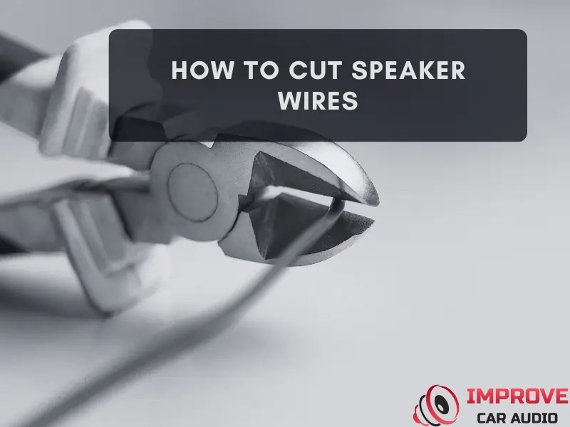 Cut Speaker Wires Perfectly (Easy DIY Tips)