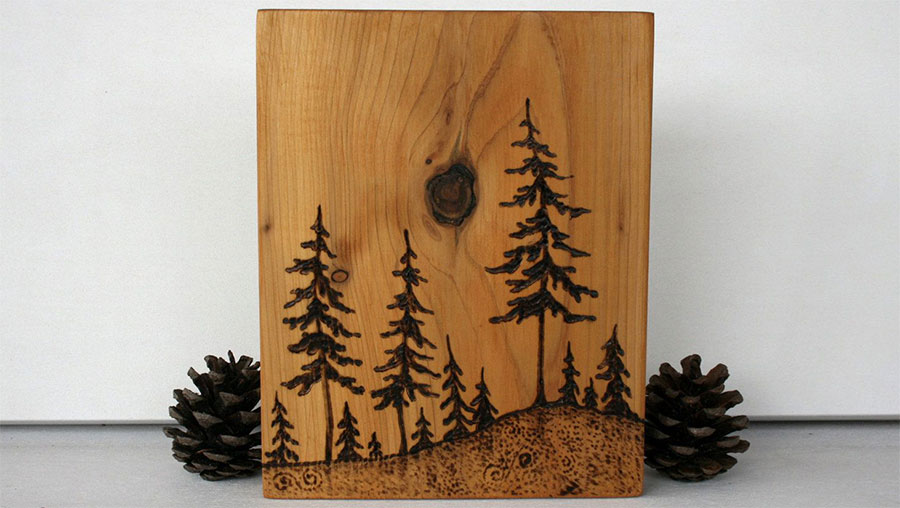 10 Best Wood for Wood Burning & Pyrography