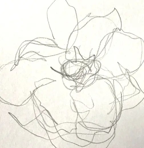 How to Sketch Loosely Improve Drawing