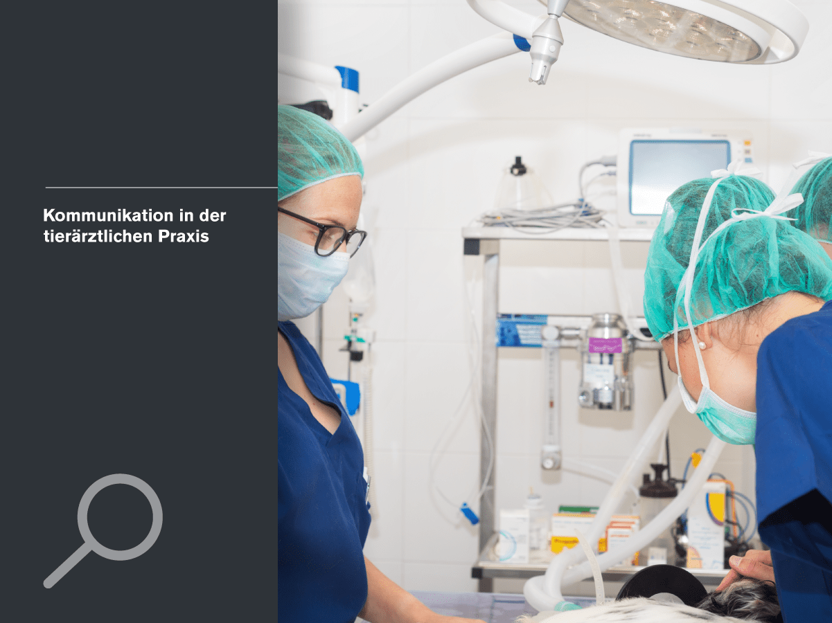 Katzenminze nicht nur eine Droge für unsere Katzen, sondern auch ein