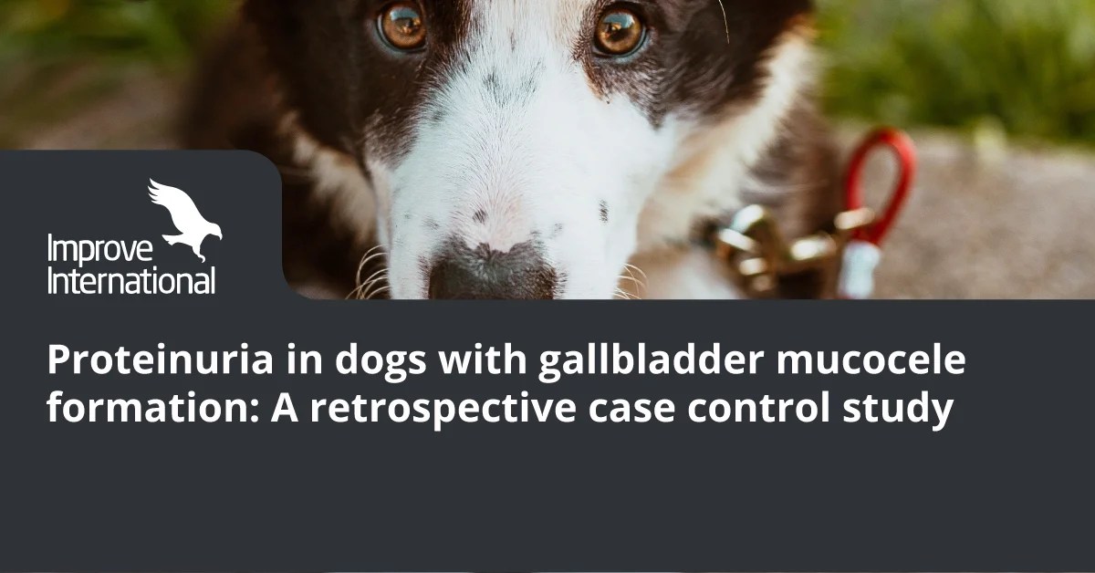 Proteinuria in dogs with gallbladder mucocele formation A