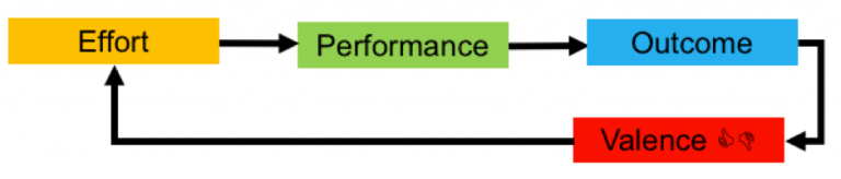 The Business Improvement Specialist Leadership Part 3 What are