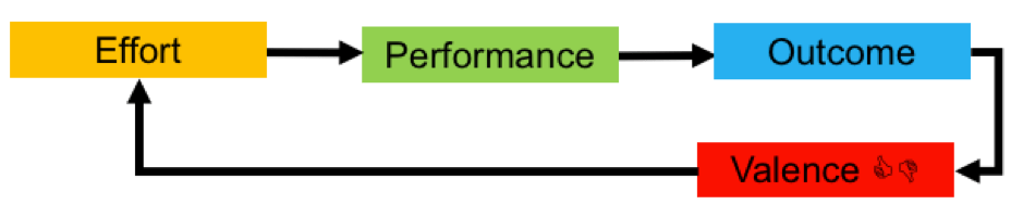 The Business Improvement Specialist Leadership Part 3 What are