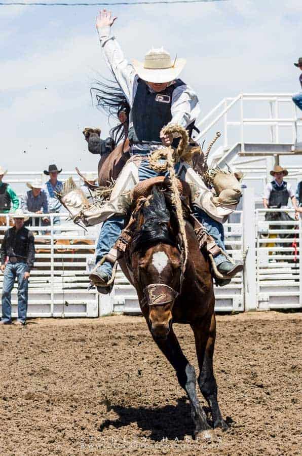 7 Tips For Rodeo Photography