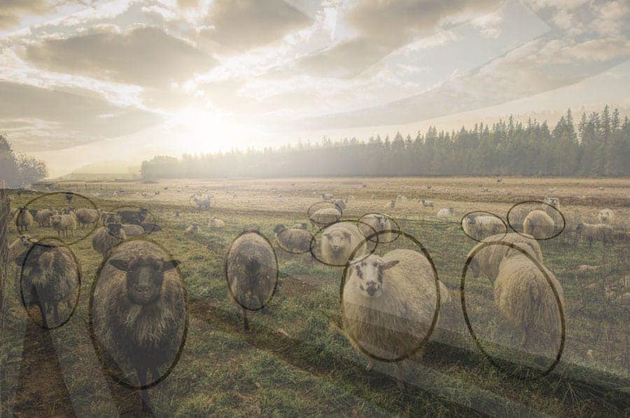 7 Creative Landscape Photography Tips and Ideas
