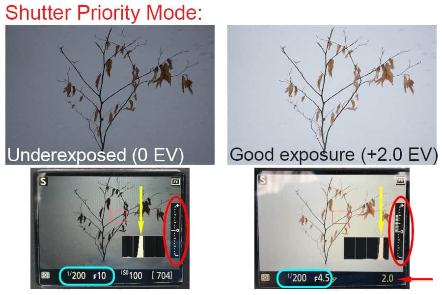 Exposure Compensation Demystified Improve Photography