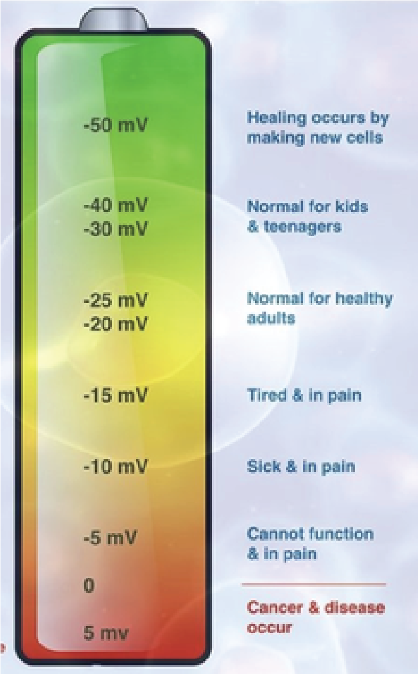 What is PEMF? Official site for iMRS2000