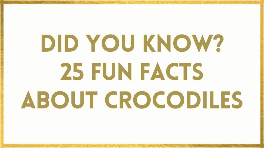 Facts About Crocodiles 25 Fun Crocodile Facts That Will WOW You!