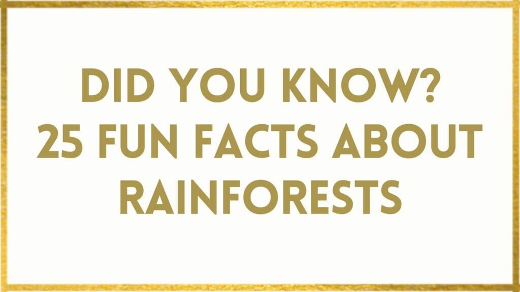 Facts About Rainforests 25 Fun Rainforest Facts To WOW You!