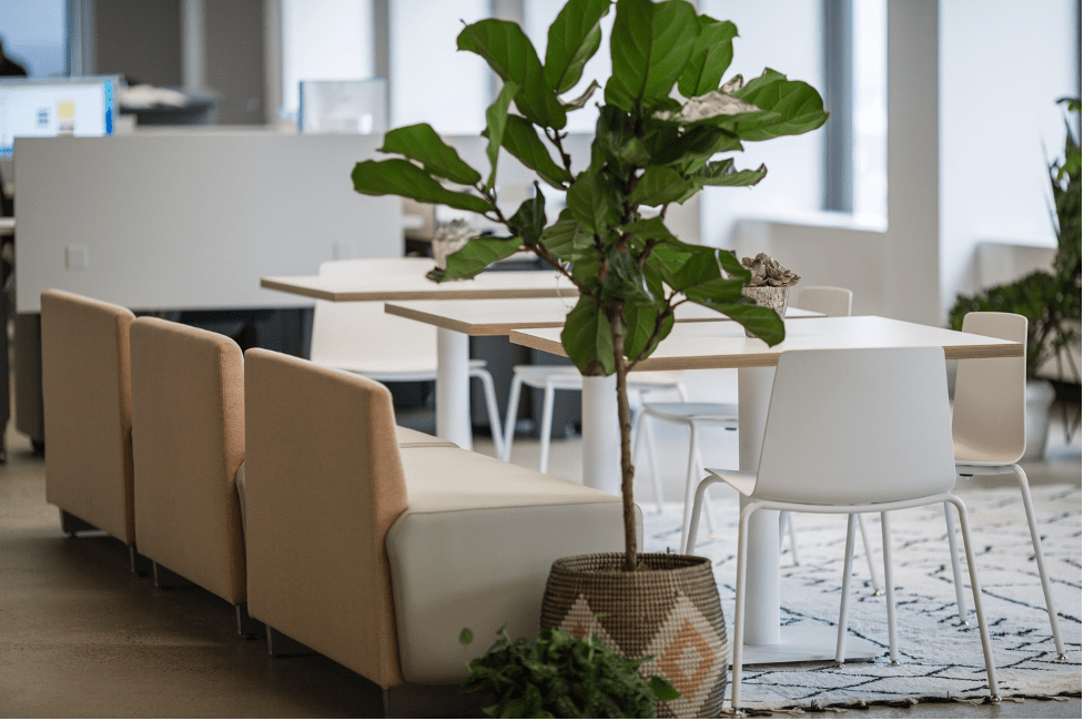 Water Cooler Culture Boost Productivity with Casual Conversations