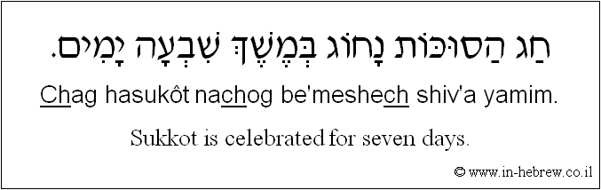 Learn Hebrew Phrases with Audio 736 Sukkot is celebrated for seven days.